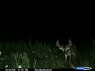 CDY_0005.JPG