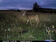 CDY_0017.JPG