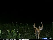 CDY_0018.JPG