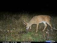 CDY_0022.JPG