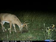 CDY_0049.JPG