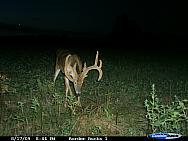 CDY_0061.JPG