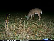 CDY_0068.JPG