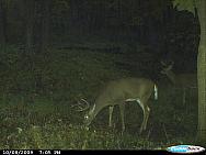 CDY_0079.JPG
