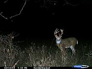 CDY_0080.JPG