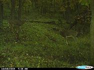 CDY_0093.JPG