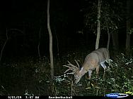 CDY_0138.JPG
