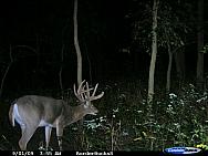 CDY_0144.JPG
