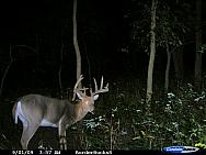CDY_0146.JPG