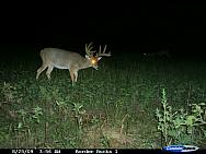 CDY_0191.JPG