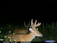 CDY_0407.JPG