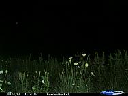 CDY_0461.JPG