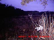 MDGC0017.JPG