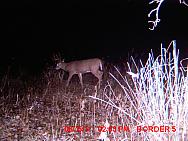 MDGC0095.JPG