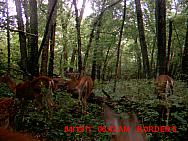 MDGC0215.JPG