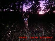 MDGC0407.JPG