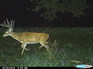 CDY_0013.JPG