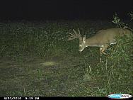CDY_0019.JPG