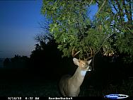 CDY_0026.JPG