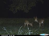 CDY_0030.JPG