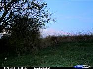 CDY_0034.JPG