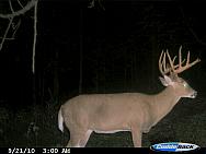 CDY_0038.JPG