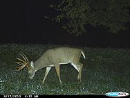 CDY_0046.JPG