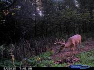 CDY_0075.JPG