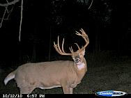 CDY_0077.JPG