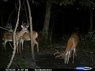 CDY_0105.JPG