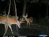 CDY_0108.JPG