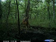 CDY_0124.JPG