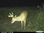 CDY_0128.JPG