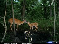 CDY_0163.JPG