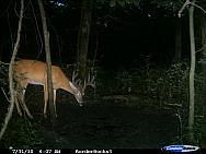 CDY_0234.JPG