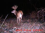 MDGC0024.JPG