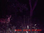 MDGC0026.JPG