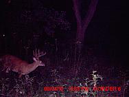 MDGC0027.JPG