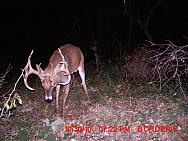 MDGC0044.JPG