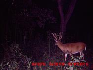 MDGC0252.JPG