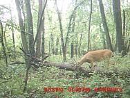 MDGC0310.JPG