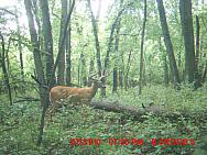 MDGC0311.JPG