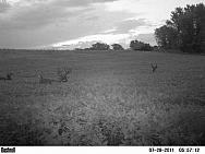 PICT0031
