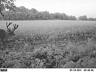 PICT0103
