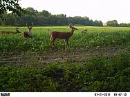 PICT0676