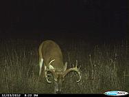 CDY 0007