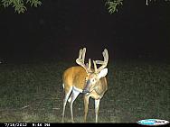 CDY 0007