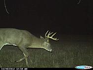 CDY 0011