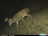 CDY 0032