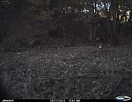 Cdy00092